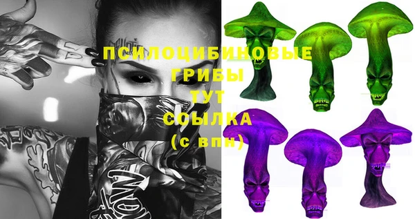 марки lsd Краснослободск