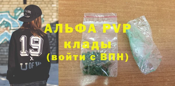 дживик Щигры