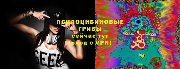 марки lsd Краснослободск