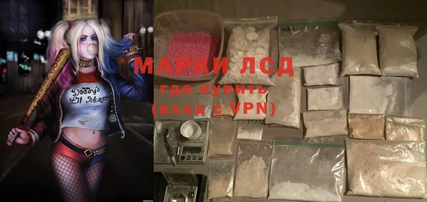 ПСИЛОЦИБИНОВЫЕ ГРИБЫ Краснотурьинск