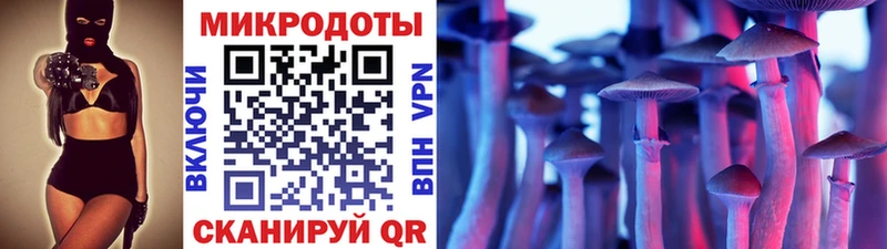 Псилоцибиновые грибы Psilocybe  Купить где  Бородино 